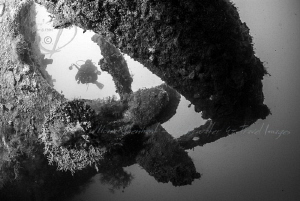 PROPELLER
-50m Gili Raja Wreck by Mona Dienhart 